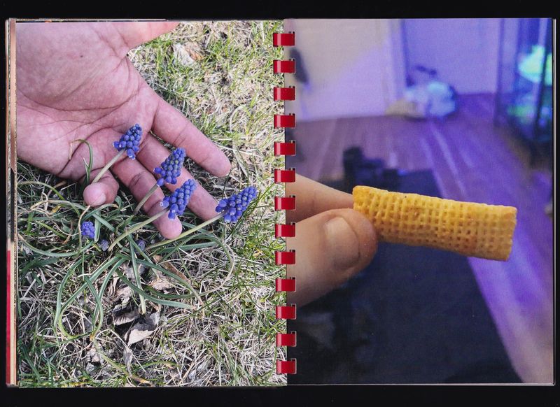 © Max Gavrich - Image from the Hand for Scale photography project