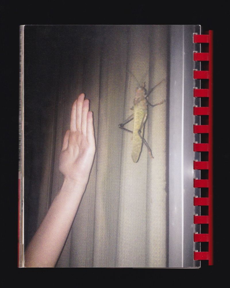 © Max Gavrich - Image from the Hand for Scale photography project