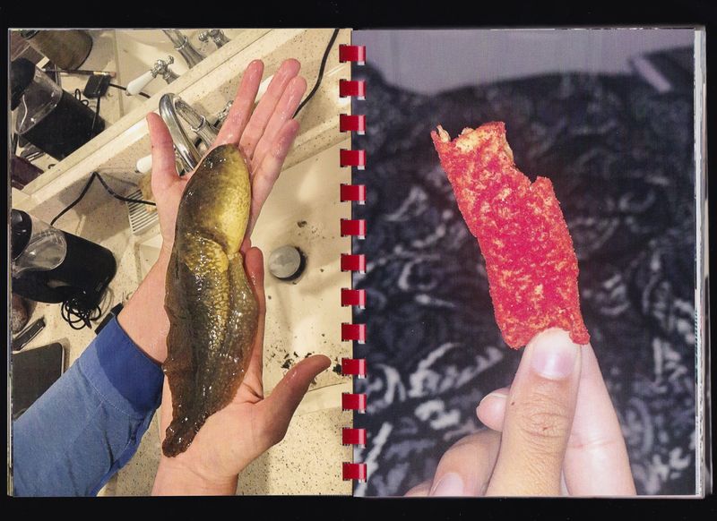 © Max Gavrich - Image from the Hand for Scale photography project