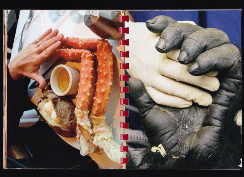 © Max Gavrich - Image from the Hand for Scale photography project