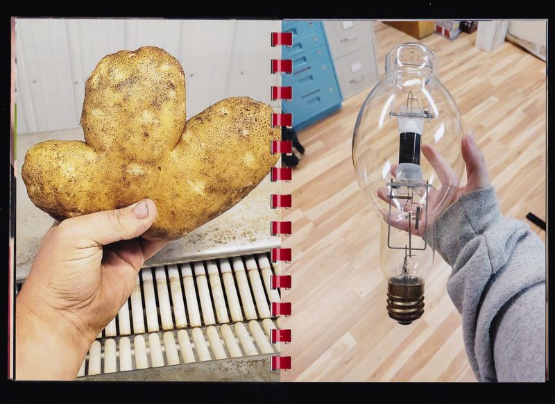 © Max Gavrich - Image from the Hand for Scale photography project