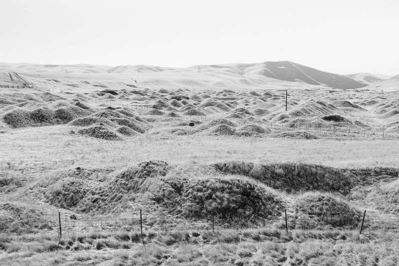 © Max Gavrich - 101 Hills, 2020