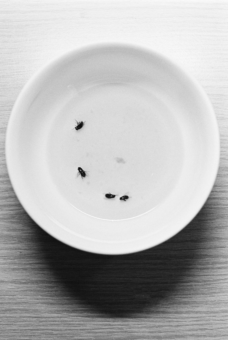 © D. M. Terblanche - Image from the Holyday photography project