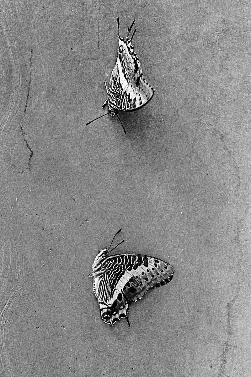 © D. M. Terblanche - Image from the Holyday photography project