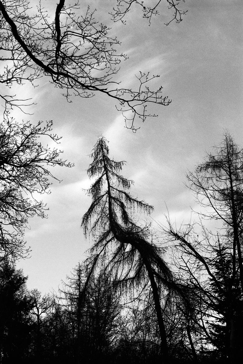 © D. M. Terblanche - Image from the Grim photography project