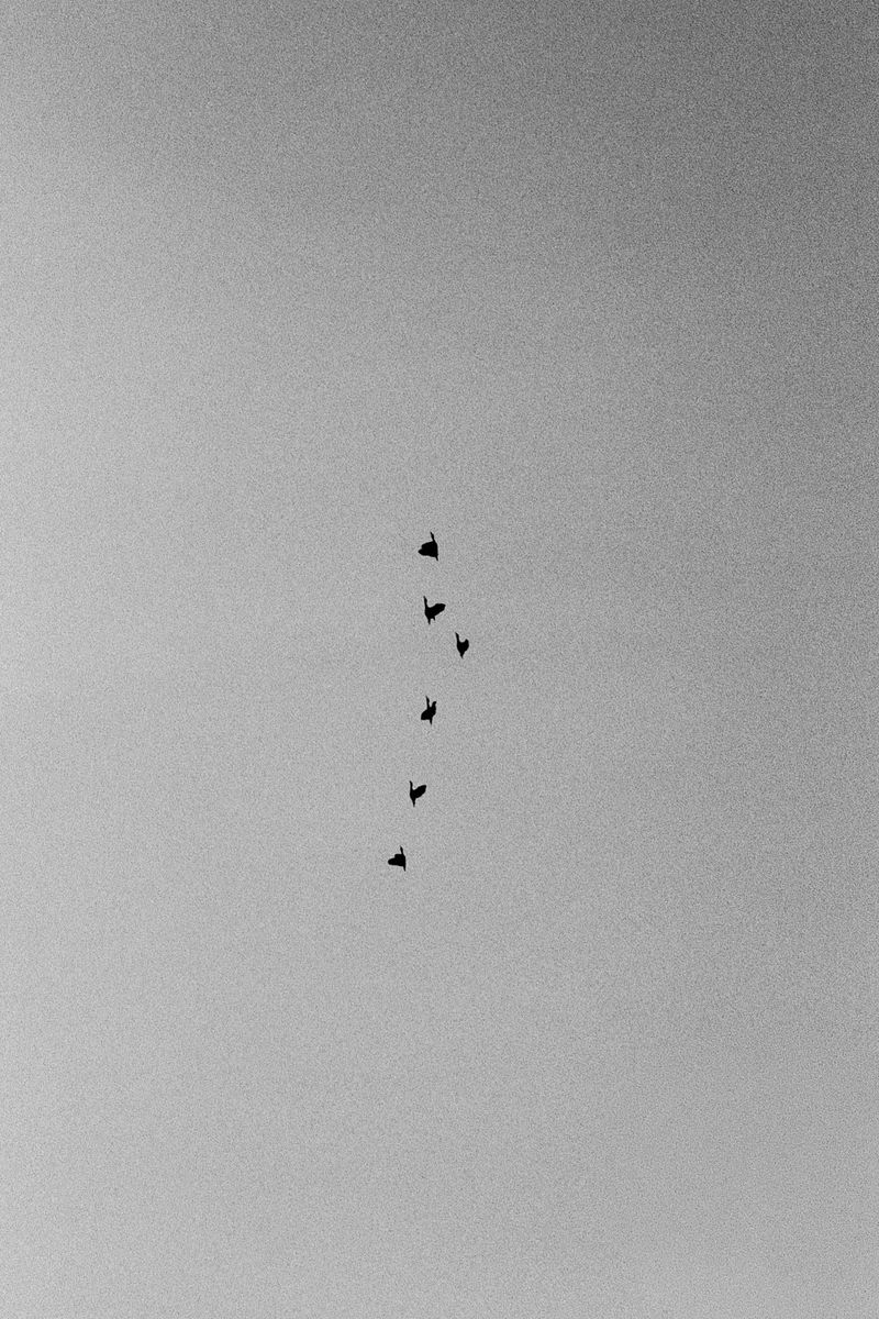 © D. M. Terblanche - Image from the Grim photography project