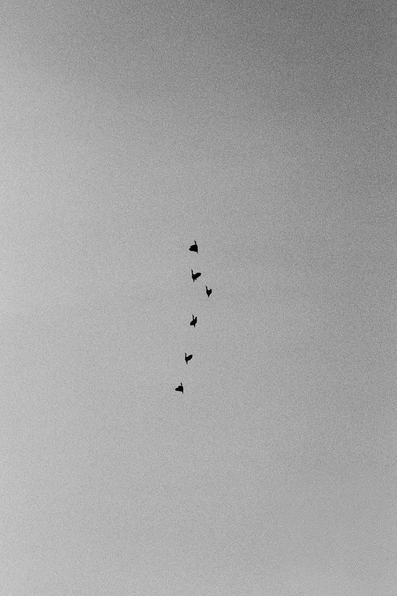 © D. M. Terblanche - Image from the Grim photography project