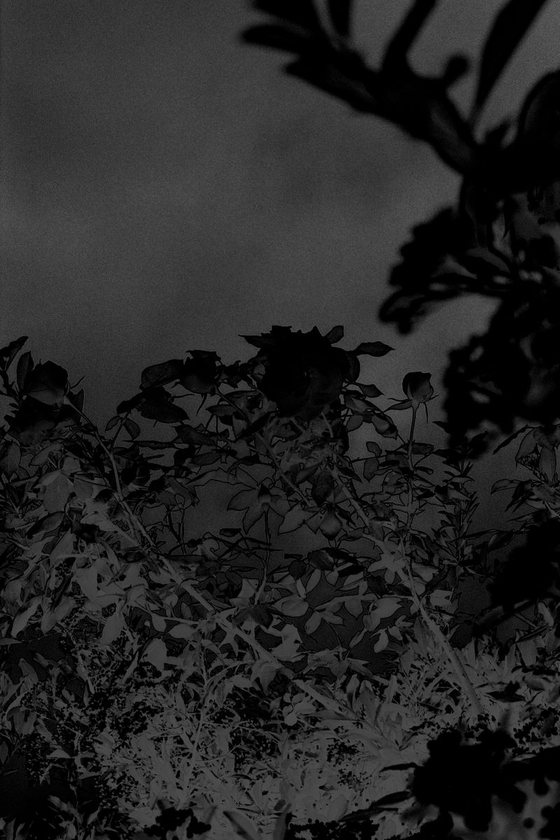 © D. M. Terblanche - Image from the Grim photography project