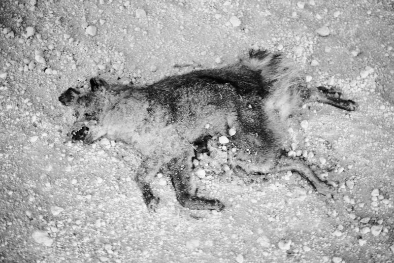 © D. M. Terblanche - Image from the Grim photography project