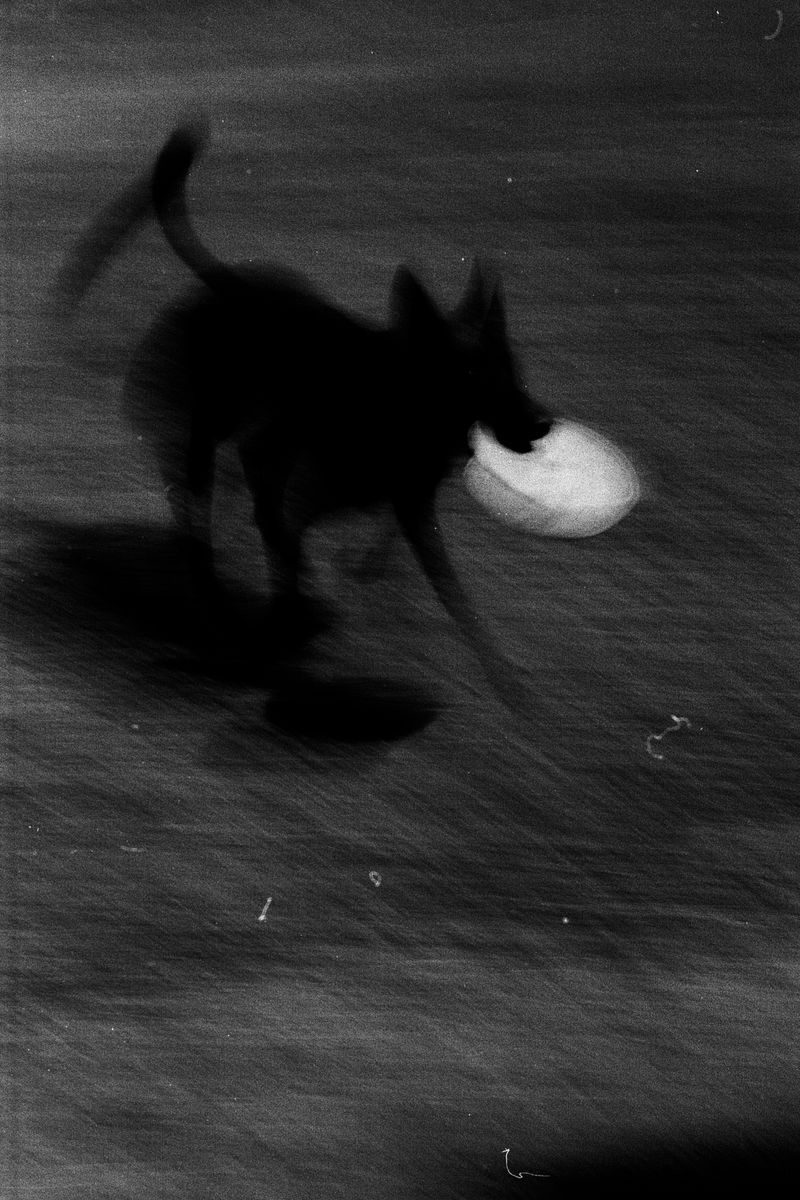 © D. M. Terblanche - Image from the Grim photography project