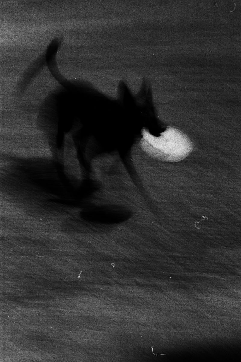 © D. M. Terblanche - Image from the Grim photography project