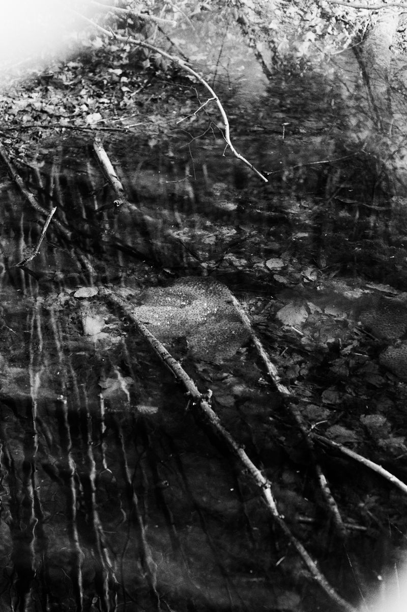 © D. M. Terblanche - Image from the Grim photography project