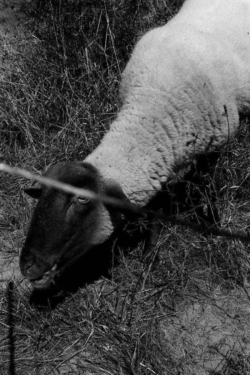 © D. M. Terblanche - Image from the Grim photography project