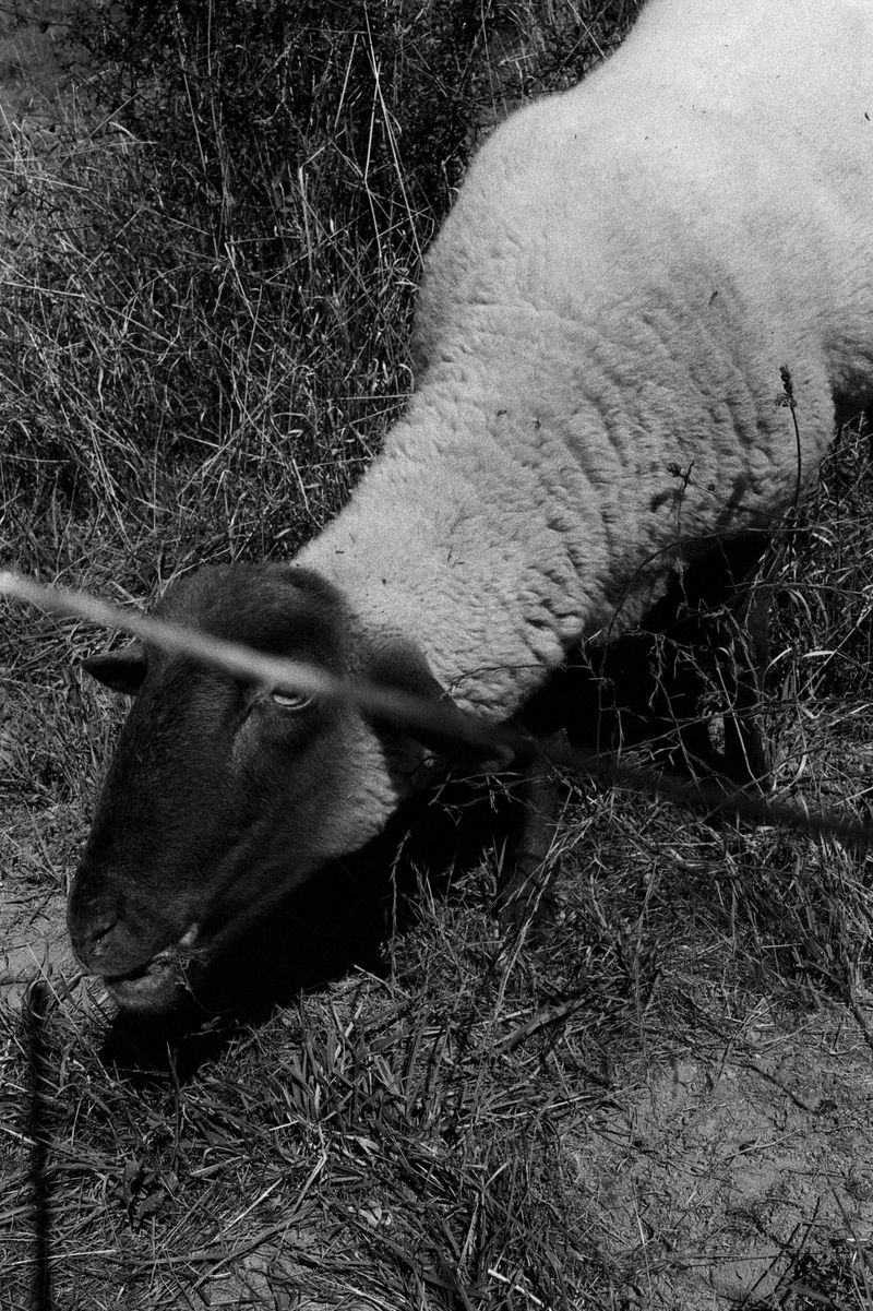 © D. M. Terblanche - Image from the Grim photography project