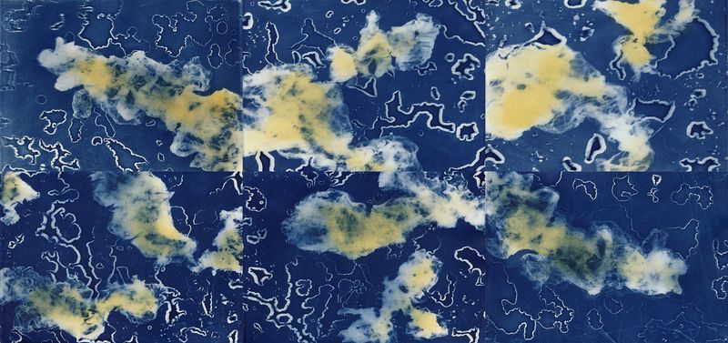 © Miltiadis Igglezos - Image from the Cyanotypes of a trashworld photography project