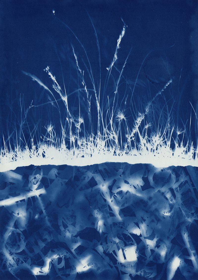© Miltiadis Igglezos - Image from the Cyanotypes of a trashworld photography project