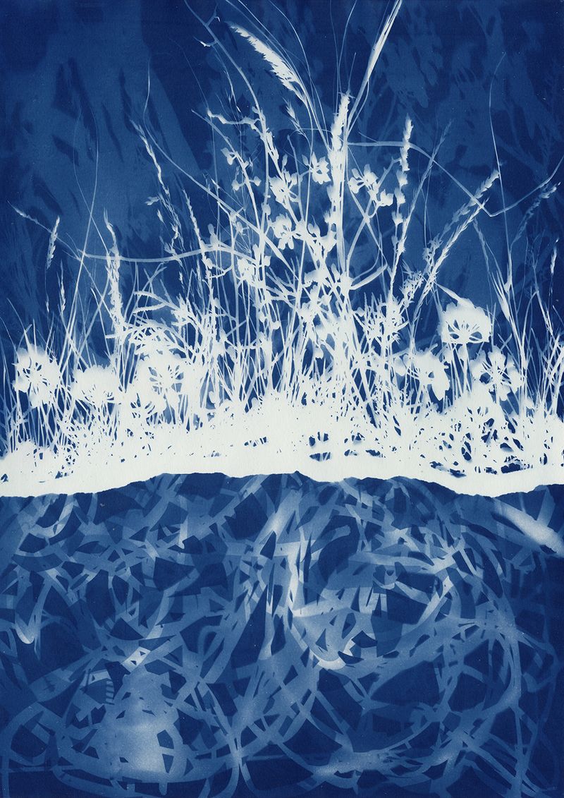 © Miltiadis Igglezos - Image from the Cyanotypes of a trashworld photography project