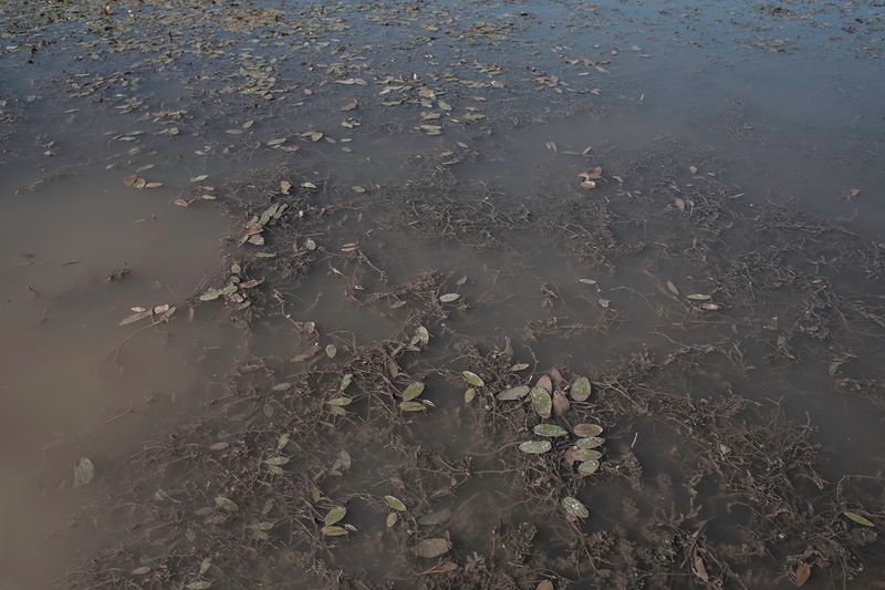 © Linda Pezzano - Image from the La neve nel cuore photography project