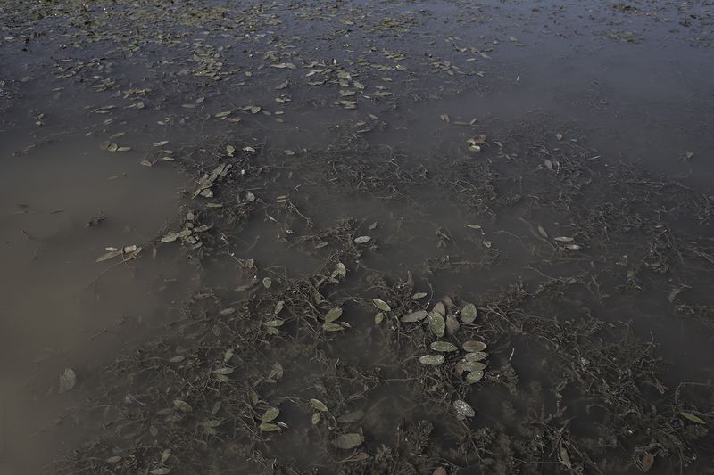 © Linda Pezzano - Image from the La neve nel cuore photography project