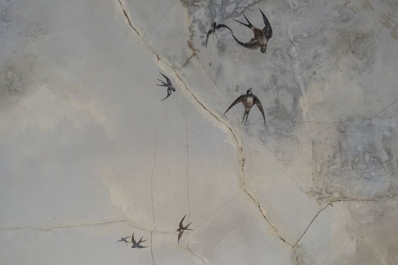 © Linda Pezzano - Image from the La neve nel cuore photography project