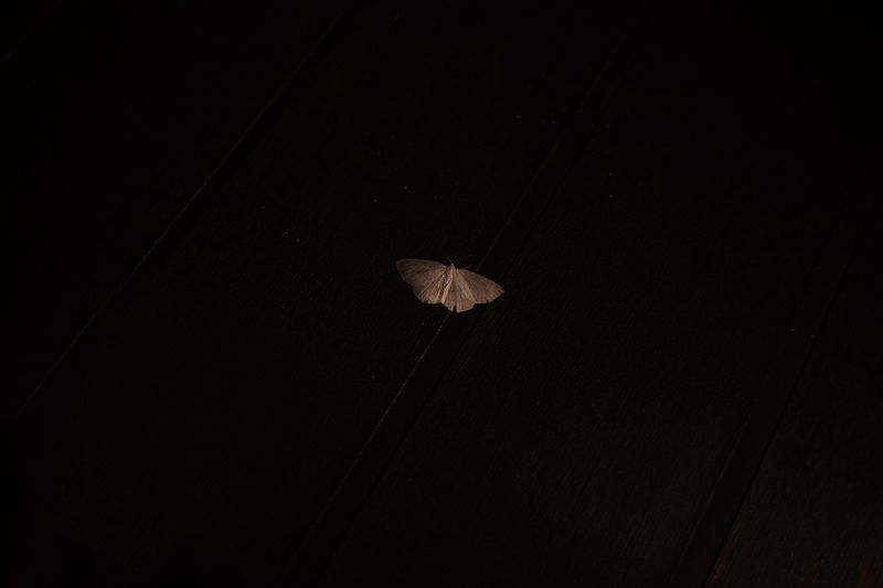 © Linda Pezzano - Image from the La neve nel cuore photography project