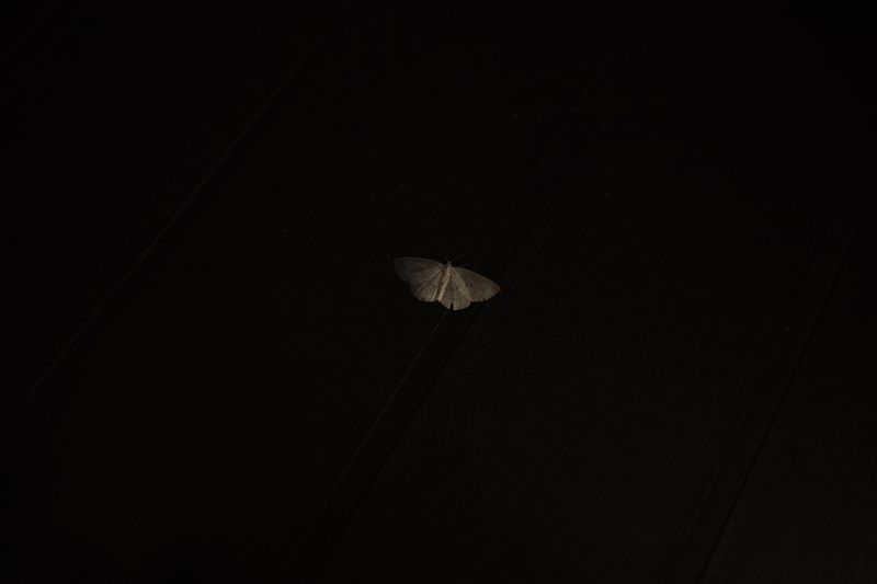 © Linda Pezzano - Image from the La neve nel cuore photography project