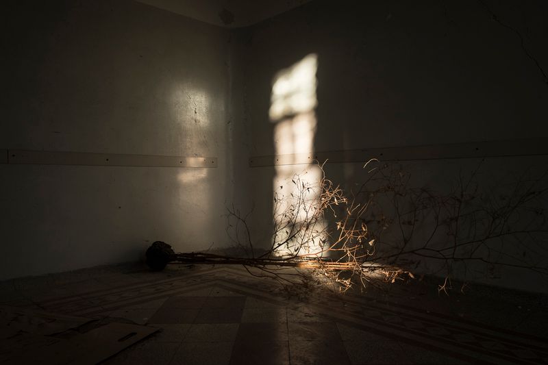 © Linda Pezzano - Image from the La neve nel cuore photography project