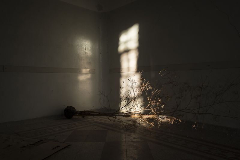 © Linda Pezzano - Image from the La neve nel cuore photography project