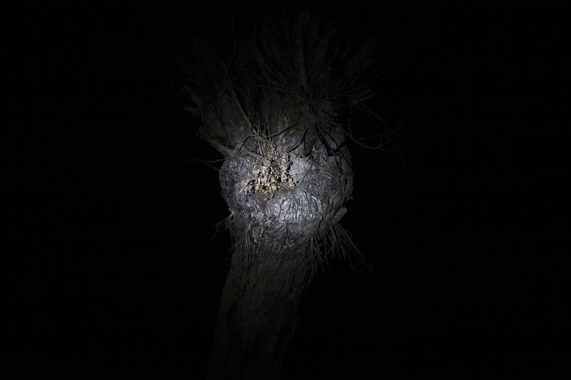 © Linda Pezzano - Image from the La neve nel cuore photography project