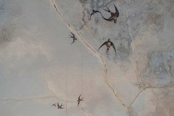 © Linda Pezzano - Image from the La neve nel cuore photography project