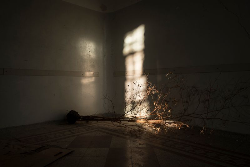 © Linda Pezzano - Image from the La neve nel cuore photography project