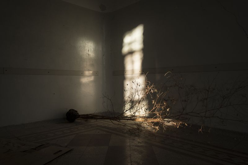 © Linda Pezzano - Image from the La neve nel cuore photography project