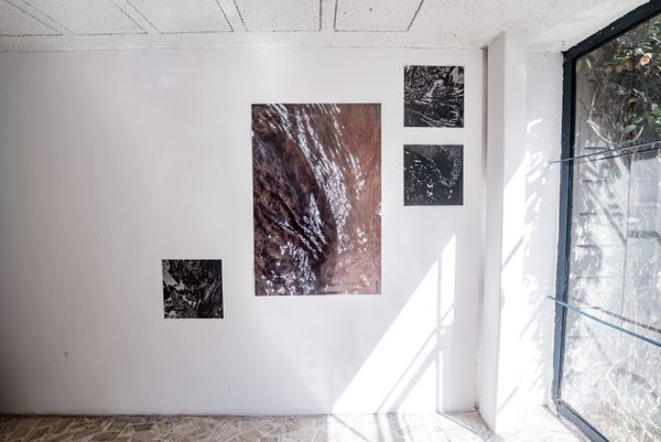 © Lil - Image from the Mircroscape 01 photography project