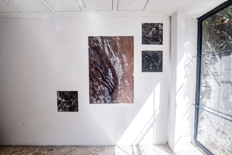 © Lil - Image from the Mircroscape 01 photography project