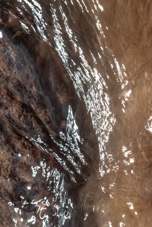 Mircroscape 01