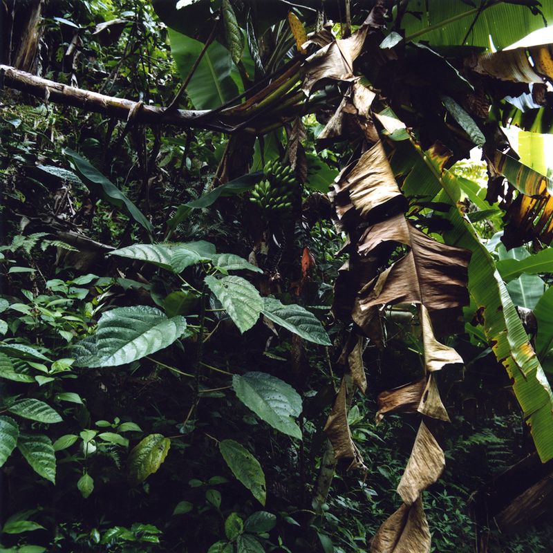 © Karen Paulina Biswell - Image from the nama bu photography project