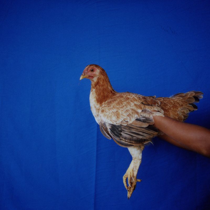 © Karen Paulina Biswell - Image from the nama bu photography project