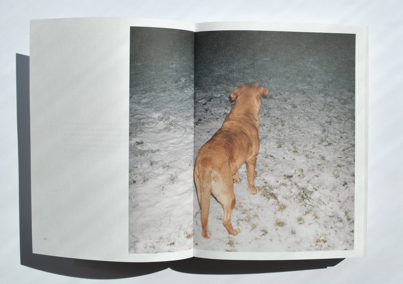 © Camilla Pavlikova - Image from the Otrava! photography project
