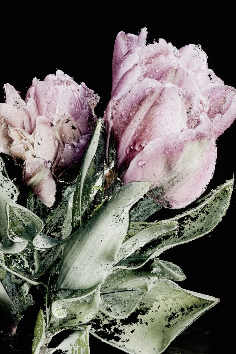 © Luísa Tormenta - Supra-Memento, Frame