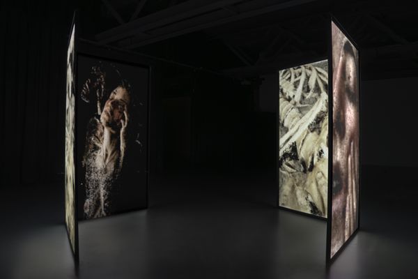 © Luísa Tormenta - Supra-Memento, Installation View4-channel projection on double sided projection screens.