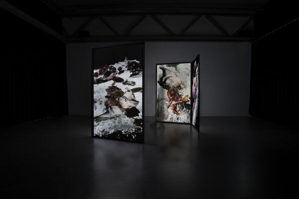 © Luísa Tormenta - Supra-Memento, Installation View4-channel projection on double sided projection screens.
