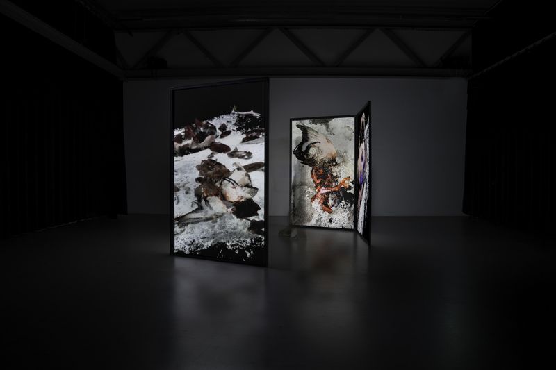 © Luísa Tormenta - Supra-Memento, Installation View4-channel projection on double sided projection screens.