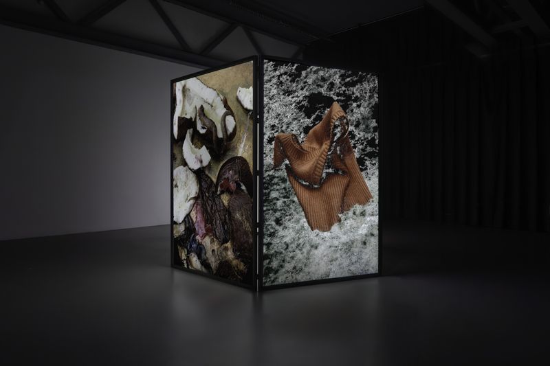 © Luísa Tormenta - Supra-Memento, Installation View4-channel projection on double sided projection screens.