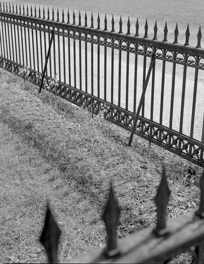 © Eri Vanluchene & Mirre Nimmegeers - Image from the The King is my Neighbour photography project