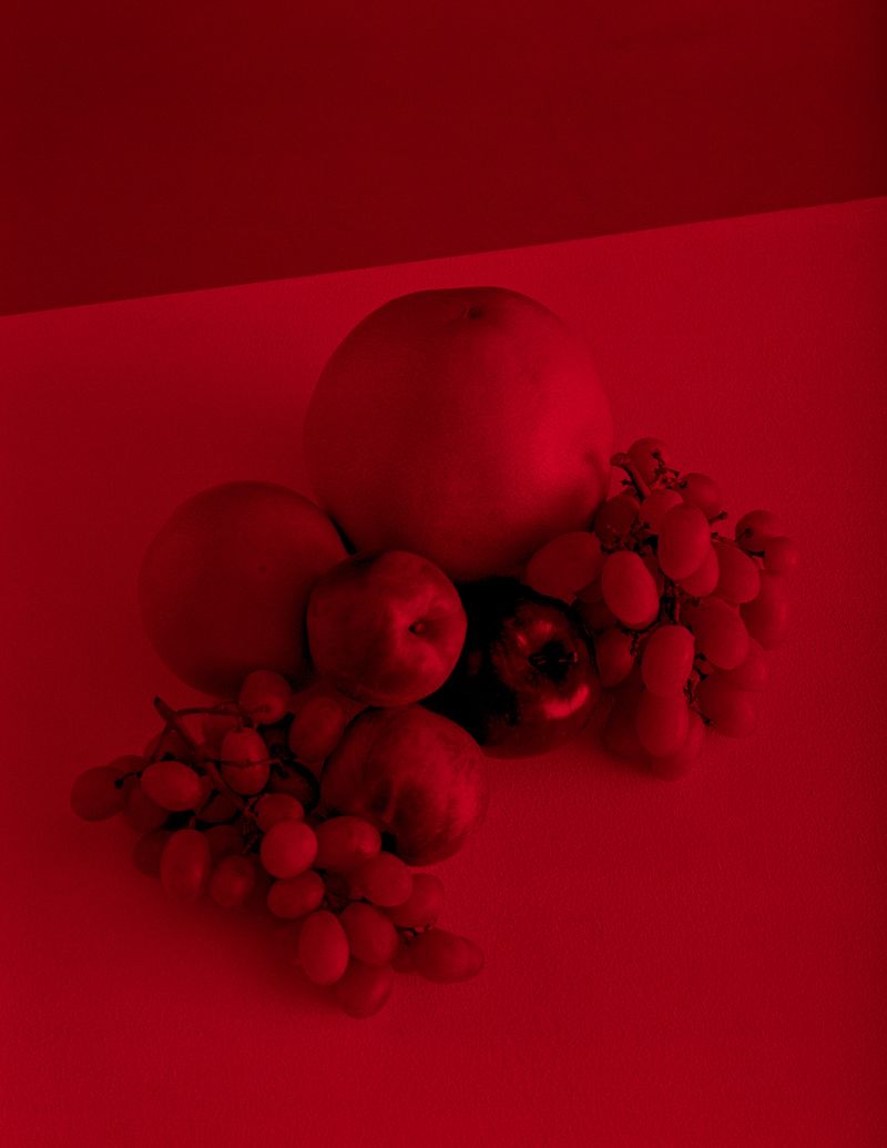 © Eri Vanluchene & Mirre Nimmegeers - Image from the The King is my Neighbour photography project