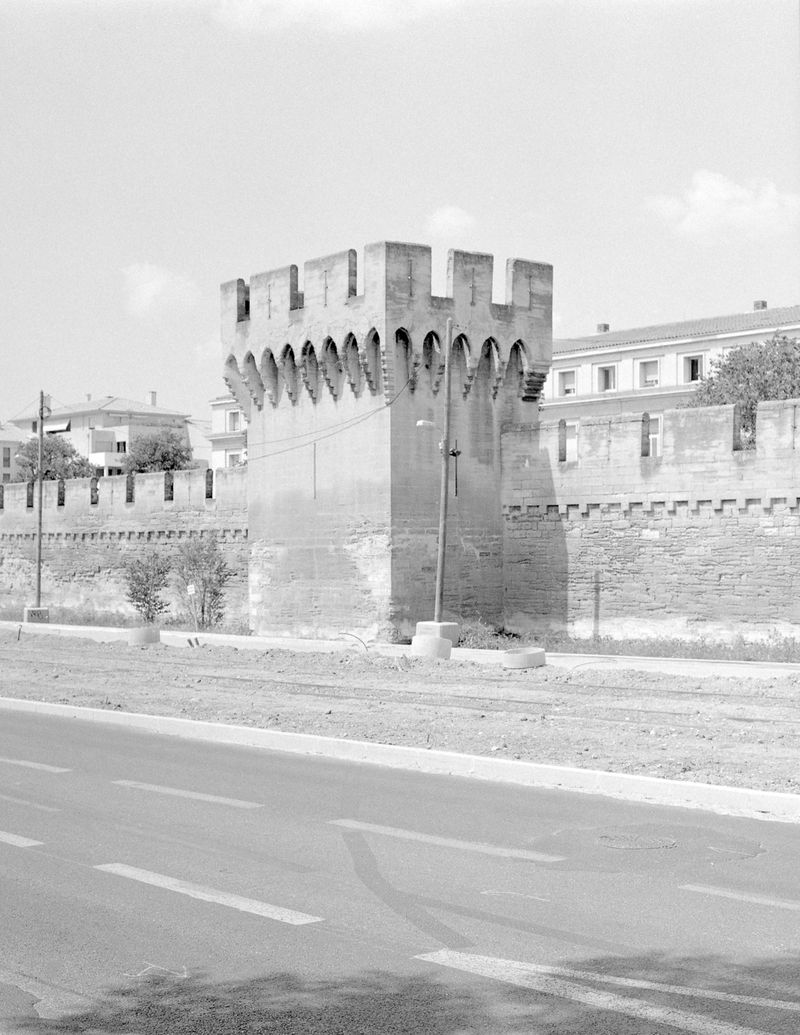 © Eri Vanluchene & Mirre Nimmegeers - Image from the The King is my Neighbour photography project