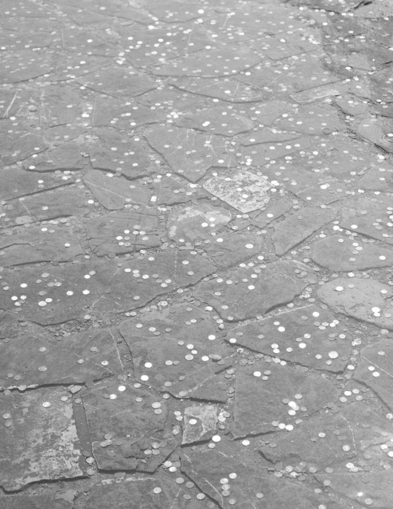 © Eri Vanluchene & Mirre Nimmegeers - Image from the The King is my Neighbour photography project