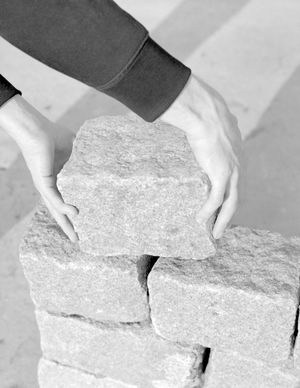 The King is my Neighbour