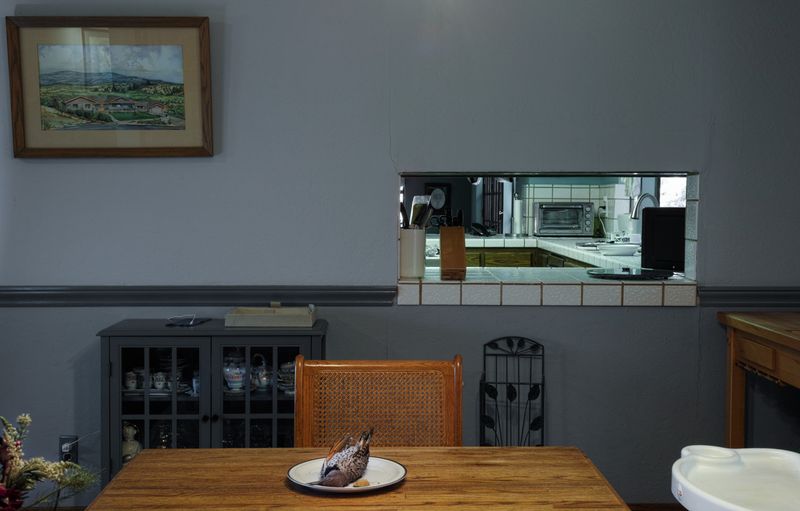 © Elizabeth Hibbard - The Dining Room