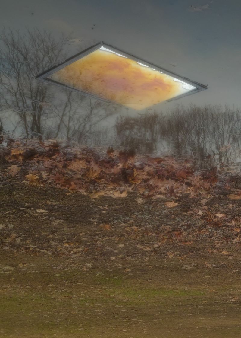 © Elizabeth Hibbard - The Zone